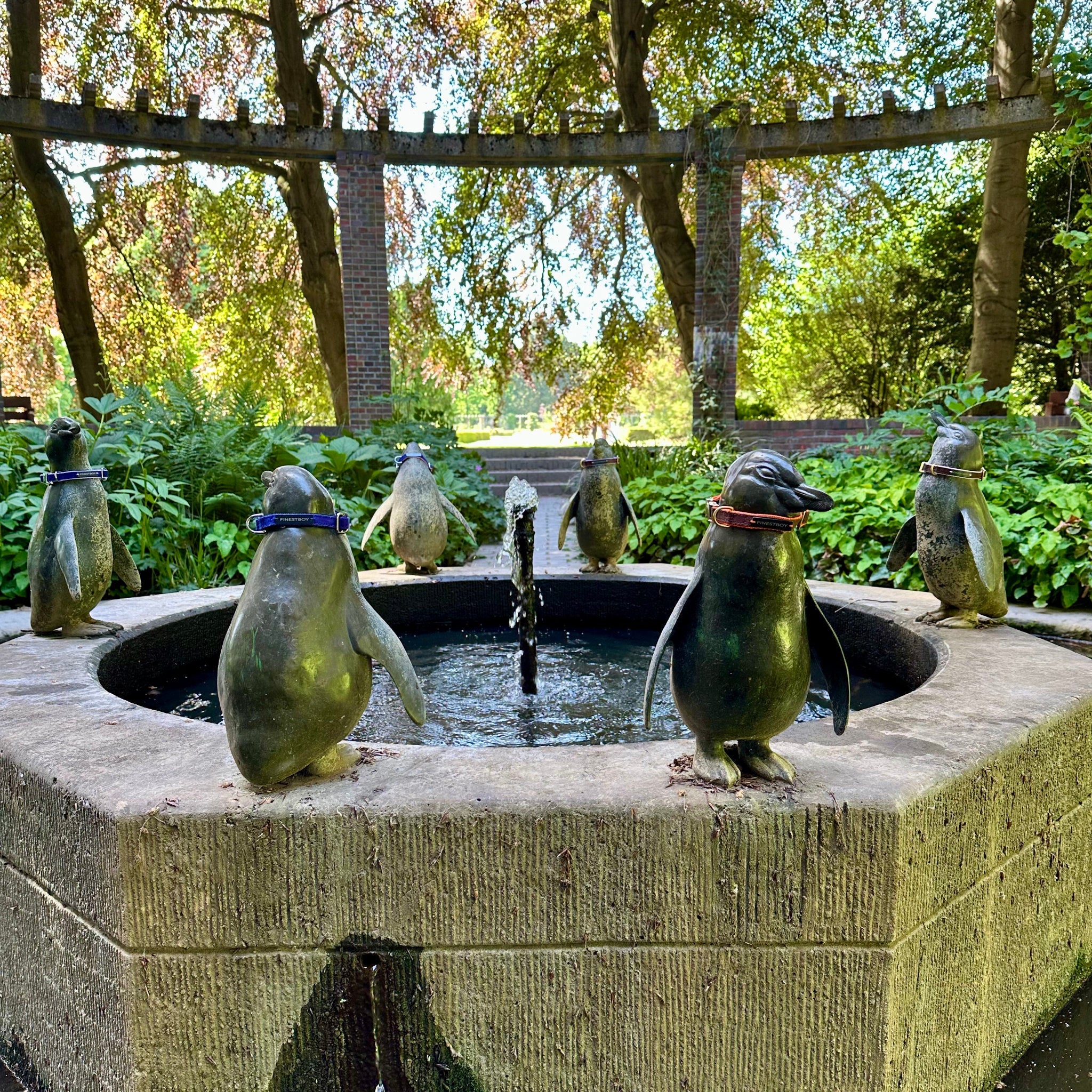 Sechs FINESTBOY-Halsbänder an sechs Pinguinen um einen Brunnen stehend, 15mm, in allen Farbvarianten mit Vollmessing- und verchromten Applikationen, im Hamburger Stadtpark an Pinguin-Skulpturen