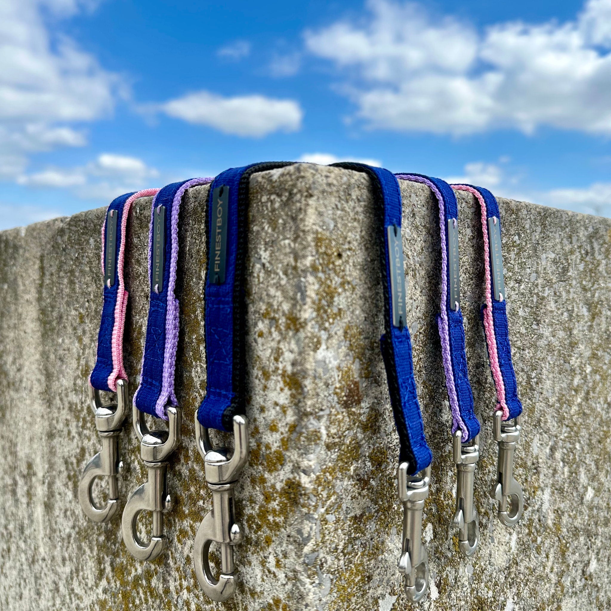 Sechs FINESTBOY Leinen in 15mm und 25mm mit Gurtband in Schwarz, Flieder, Rosa und royalblauem Canvas mit Edelstahl-Karabinern, hängend von Beton vor blauem Wolkenhimmel