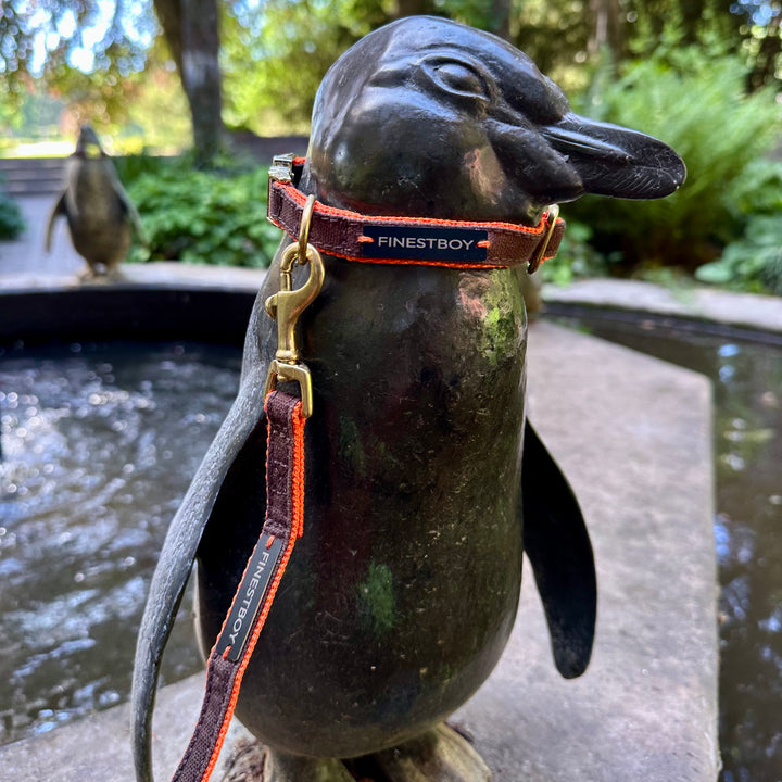 Pinguin trägt FINESTBOY-Bundle aus Halsband und Leine, 15mm, orangenes Gurtband mit dunkelbraunem Canvas-Streifen und Vollmessing-Applikationen, vermessingter Metallsteckschnalle und Vollmessing-Karabiner, im Hamburger Stadtpark an einer Pinguin-Skulptur