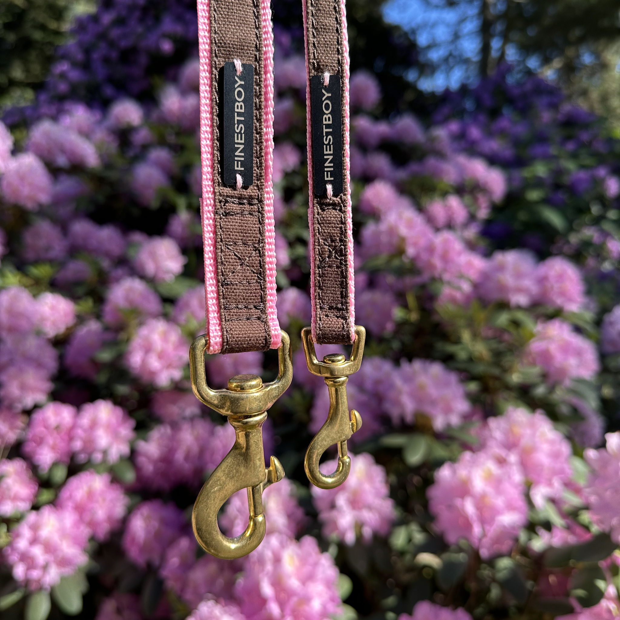 Zwei handgefertigte FINESTBOY-Hundeleinen, 15mm und 25mm, rosafarbenes Gurtband mit dunkelbraunem Canvas-Streifen und Vollmessing-Karabiner, hängend vor Blumen im Hamburger Stadtpark