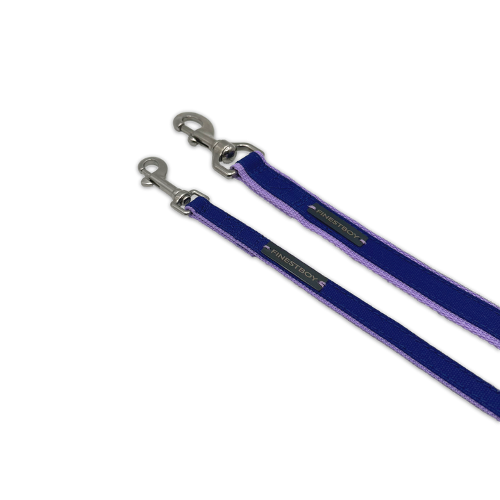 Zwei handgefertigte FINESTBOY-Hundeleinen, 15mm und 25mm, fliederfarbenes Gurtband mit royalblauem Canvas-Streifen und Edelstahl-Karabiner, diagonal drapiert
