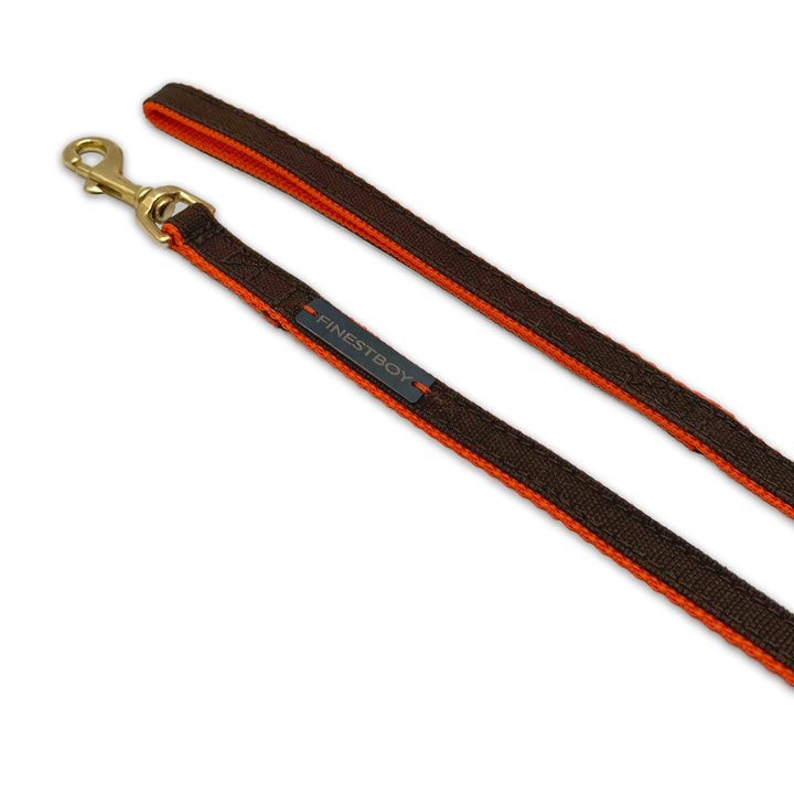 Handgefertigte FINESTBOY-Hundeleine, 15mm, orangenes Gurtband mit dunkelbraunem Canvas-Streifen und Vollmessing-Karabiner, gelegt in Aufsicht