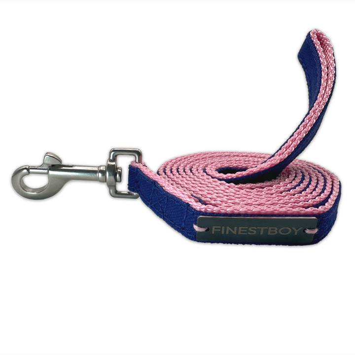 Handgefertigte FINESTBOY-Hundeleine, 15mm, rosafarbenes Gurtband mit royalblauem Canvas-Streifen und Edelstahl-Karabiner, gerollt