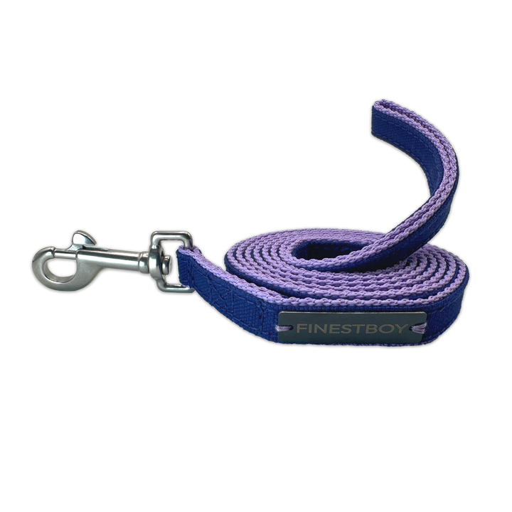 Handgefertigte FINESTBOY-Hundeleine, 15mm, fliederfarbenes Gurtband mit royalblauem Canvas-Streifen und Edelstahl-Karabiner, gerollt
