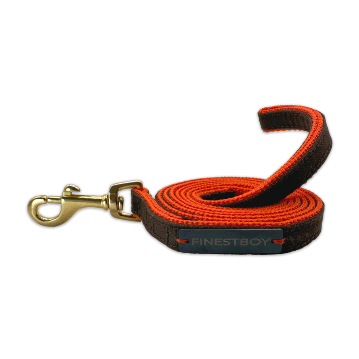 Handgefertigte FINESTBOY-Hundeleine, 15mm, orangenes Gurtband mit dunkelbraunem Canvas-Streifen und Vollmessing-Karabiner, gerollt