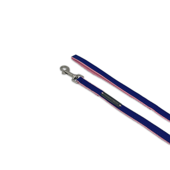 Handgefertigte FINESTBOY-Hundeleine, 15mm, rosafarbenes Gurtband mit royalblauem Canvas-Streifen und Edelstahl-Karabiner, diagonal drapiert