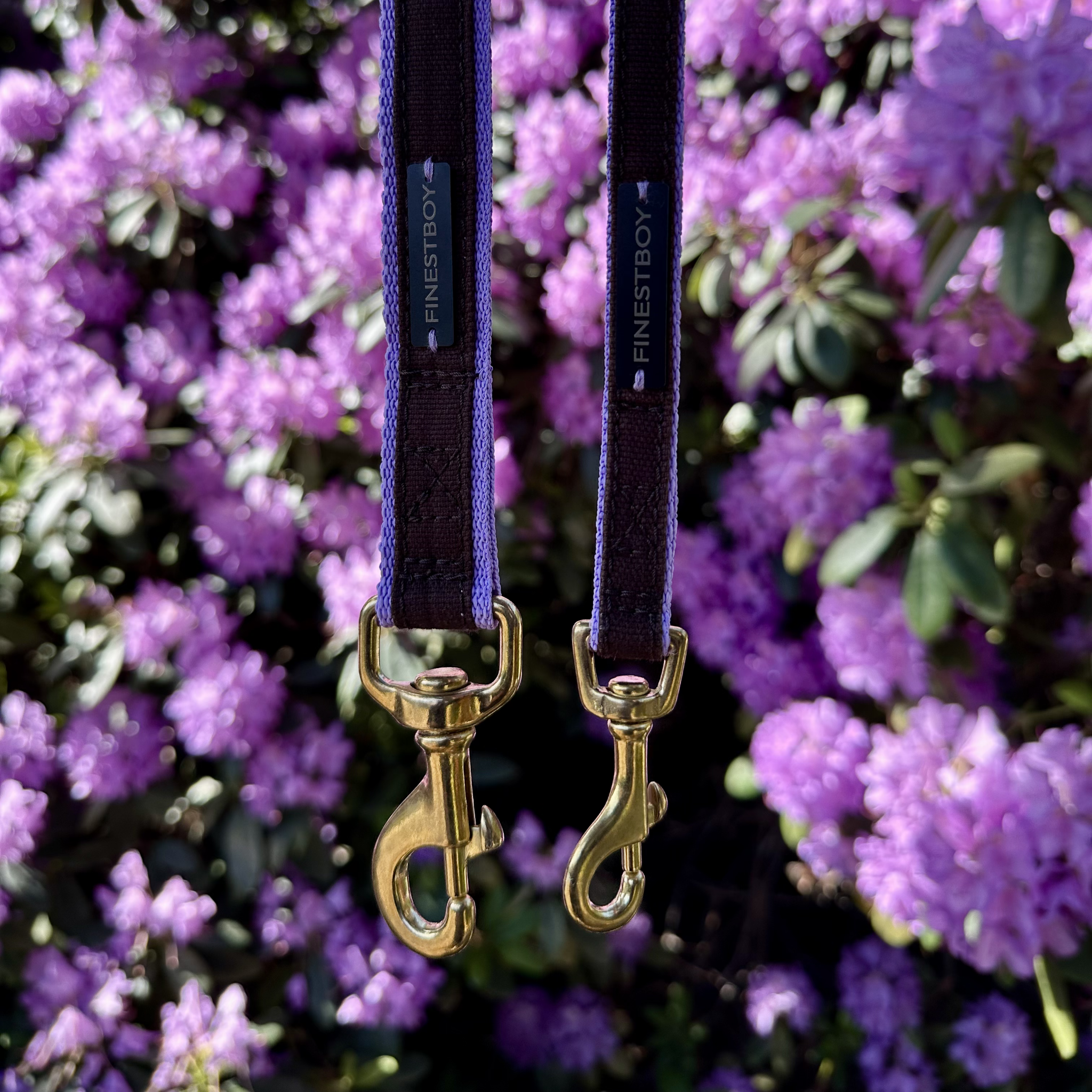 Zwei handgefertigte FINESTBOY-Hundeleinen, 15mm und 25mm, fliederfarbenes Gurtband mit dunkelbraunem Canvas-Streifen und Vollmessing-Karabiner, hängend vor Blüten im Hamburger Stadtpark