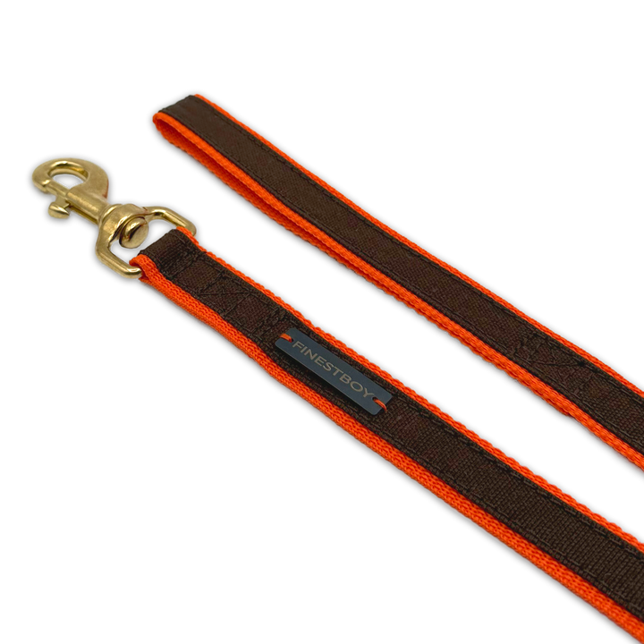 Handgefertigte FINESTBOY-Hundeleine, 25mm, orangenes Gurtband mit dunkelbraunem Canvas-Streifen und Vollmessing-Karabiner, gelegt in Aufsicht