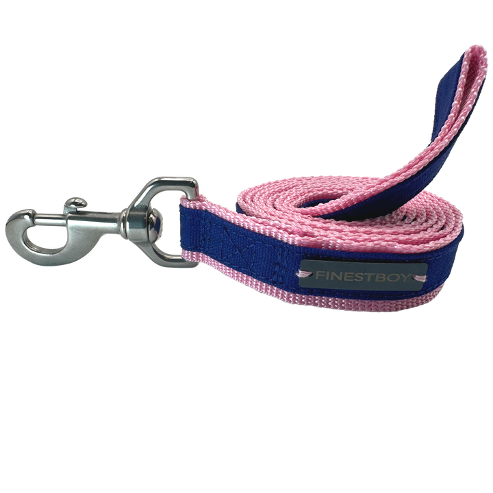 Handgefertigte FINESTBOY-Hundeleine, 25mm, rosafarbenes Gurtband mit royalblauem Canvas-Streifen und Edelstahl-Karabiner, gerollt