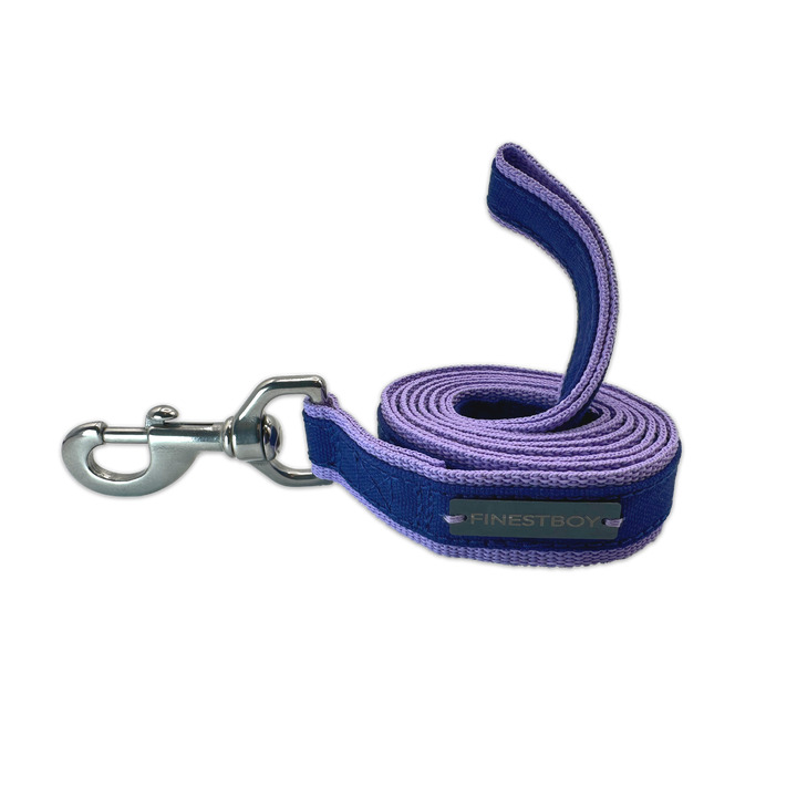 Handgefertigte FINESTBOY-Hundeleine, 25mm, fliederfarbenes Gurtband mit royalblauem Canvas-Streifen und Edelstahl-Karabiner, gerollt