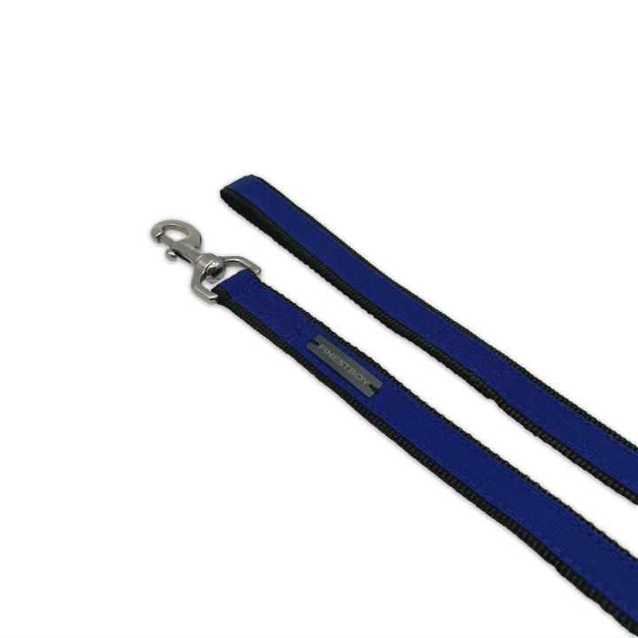 Handgefertigte FINESTBOY-Hundeleine, 25mm, schwarzes Gurtband mit royalblauem Canvas-Streifen und Edelstahl-Karabiner, diagonal drapiert