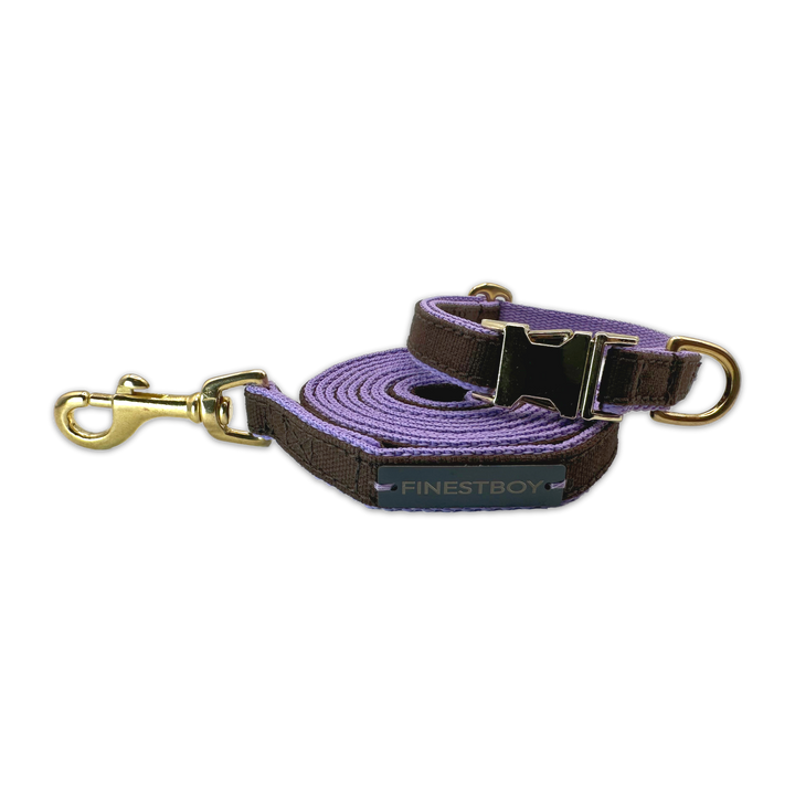 FINESTBOY-Bundle aus Halsband und Leine, 15mm, fliederfarbenes Gurtband mit dunkelbraunem Canvas-Streifen und Vollmessing-Applikationen, vermessingter Metallsteckschnalle und Vollmessing-Karabiner, gelegt, Frontansicht