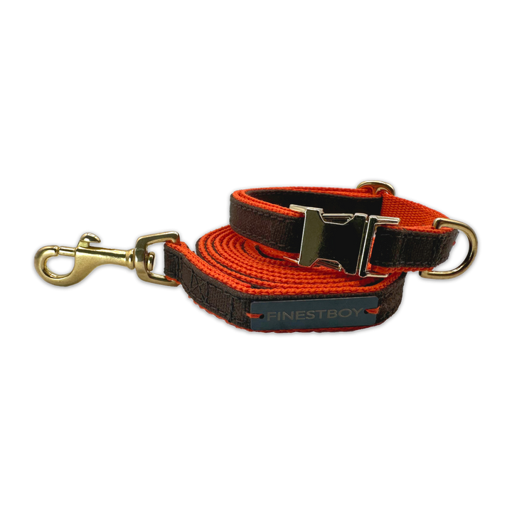 FINESTBOY-Bundle aus Halsband und Leine, 15mm, orangenes Gurtband mit dunkelbraunem Canvas-Streifen und Vollmessing-Applikationen, vermessingter Metallsteckschnalle und Vollmessing-Karabiner, gelegt, Frontansicht