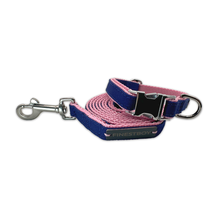 FINESTBOY-Bundle aus Halsband und Leine, 15mm, rosafarbenes Gurtband mit royalblauem Canvas-Streifen und verchromten Vollmessing-Applikationen und verchromter Metallsteckschnalle, gelegt, Frontansicht