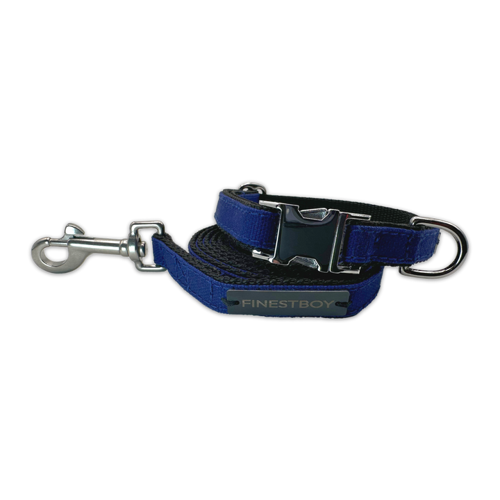 FINESTBOY-Bundle aus Halsband und Leine, 15mm, schwarzes Gurtband mit royalblauem Canvas-Streifen und verchromten Vollmessing-Applikationen, verchromter Metallsteckschnalle und Edelstahl-Karabiner, gelegt, Frontansicht