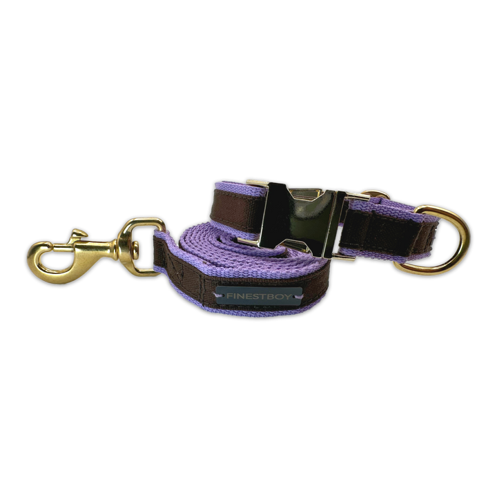 FINESTBOY-Bundle aus Halsband und Leine, 25mm, fliederfarbenes Gurtband mit dunkelbraunem Canvas-Streifen und Vollmessing-Applikationen, vermessingter Metallsteckschnalle und Vollmessing-Karabiner, gelegt, Frontansicht
