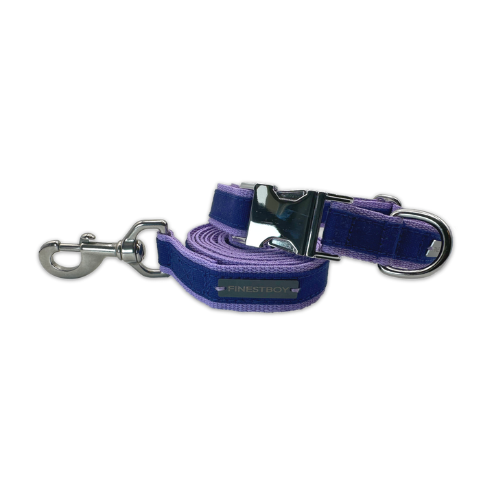 FINESTBOY-Bundle aus Halsband und Leine, 25mm, fliederfarbenes Gurtband mit royalblauem Canvas-Streifen und verchromten Vollmessing-Applikationen, verchromter Metallsteckschnalle und Edelstahl-Karabiner, gelegt, Frontansicht