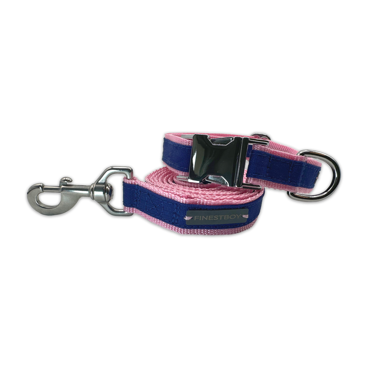 FINESTBOY-Bundle aus Halsband und Leine, 25mm, rosafarbenes Gurtband mit royalblauem Canvas-Streifen und verchromten Vollmessing-Applikationen, verchromter Metallsteckschnalle und Edelstahl-Karabiner, gelegt, Frontansicht