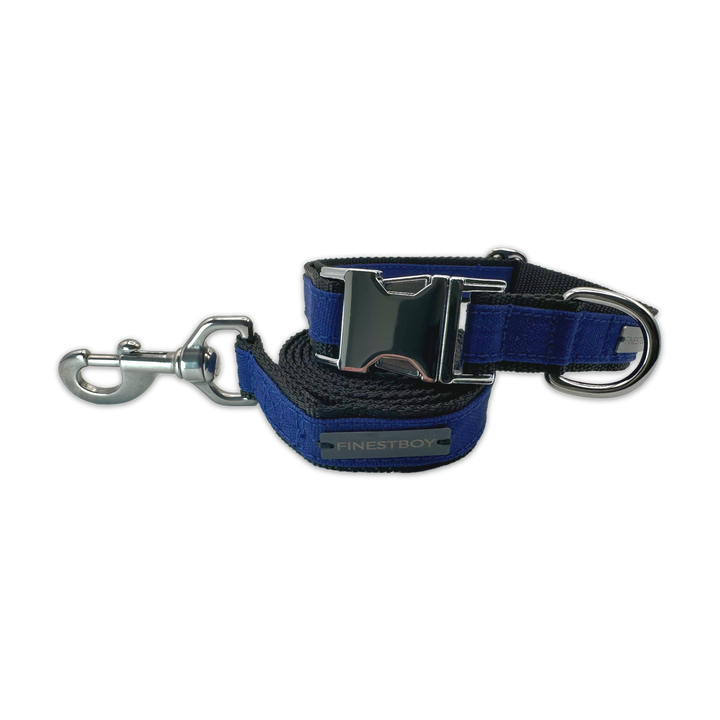 FINESTBOY-Bundle aus Halsband und Leine, 25mm, schwarzes Gurtband mit royalblauem Canvas-Streifen und verchromten Vollmessing-Applikationen, verchromter Metallsteckschnalle und Edelstahl-Karabiner, gelegt, Frontansicht