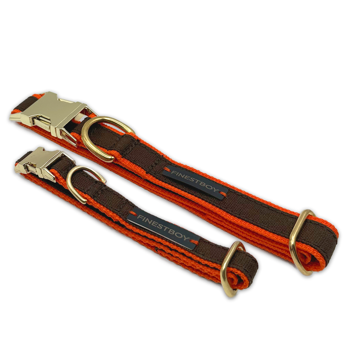 Zwei FINESTBOY-Halsbänder, 15mm und 25mm, orangenes Gurtband mit dunkelbraunem Canvas-Streifen und Vollmessing-Applikationen und vermessingter Metallsteckschnalle, gelegt, diagonal drapiert