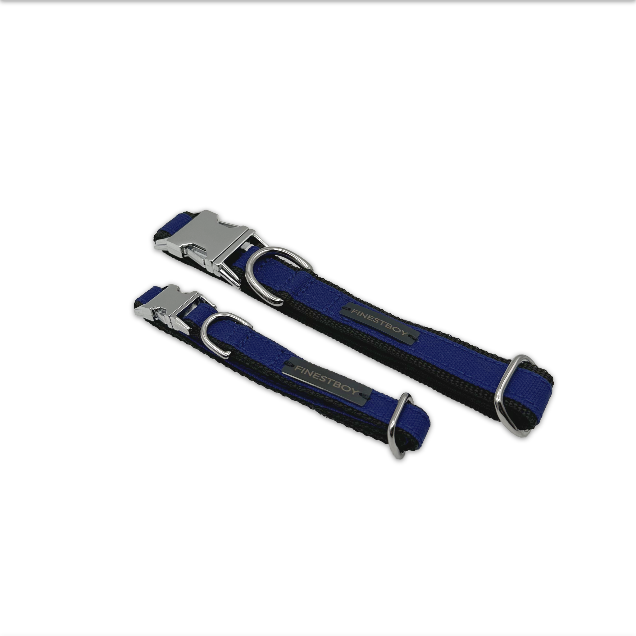 Zwei FINESTBOY-Halsbänder, 15mm und 25mm, schwarzes Gurtband mit royalblauem Canvas-Streifen und verchromten Vollmessing-Applikationen und verchromter Metallsteckschnalle, gelegt, diagonal drapiert