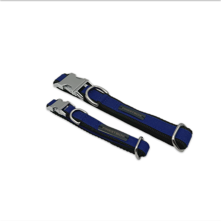 Zwei FINESTBOY-Halsbänder, 15mm und 25mm, schwarzes Gurtband mit royalblauem Canvas-Streifen und verchromten Vollmessing-Applikationen und verchromter Metallsteckschnalle, gelegt, diagonal drapiert