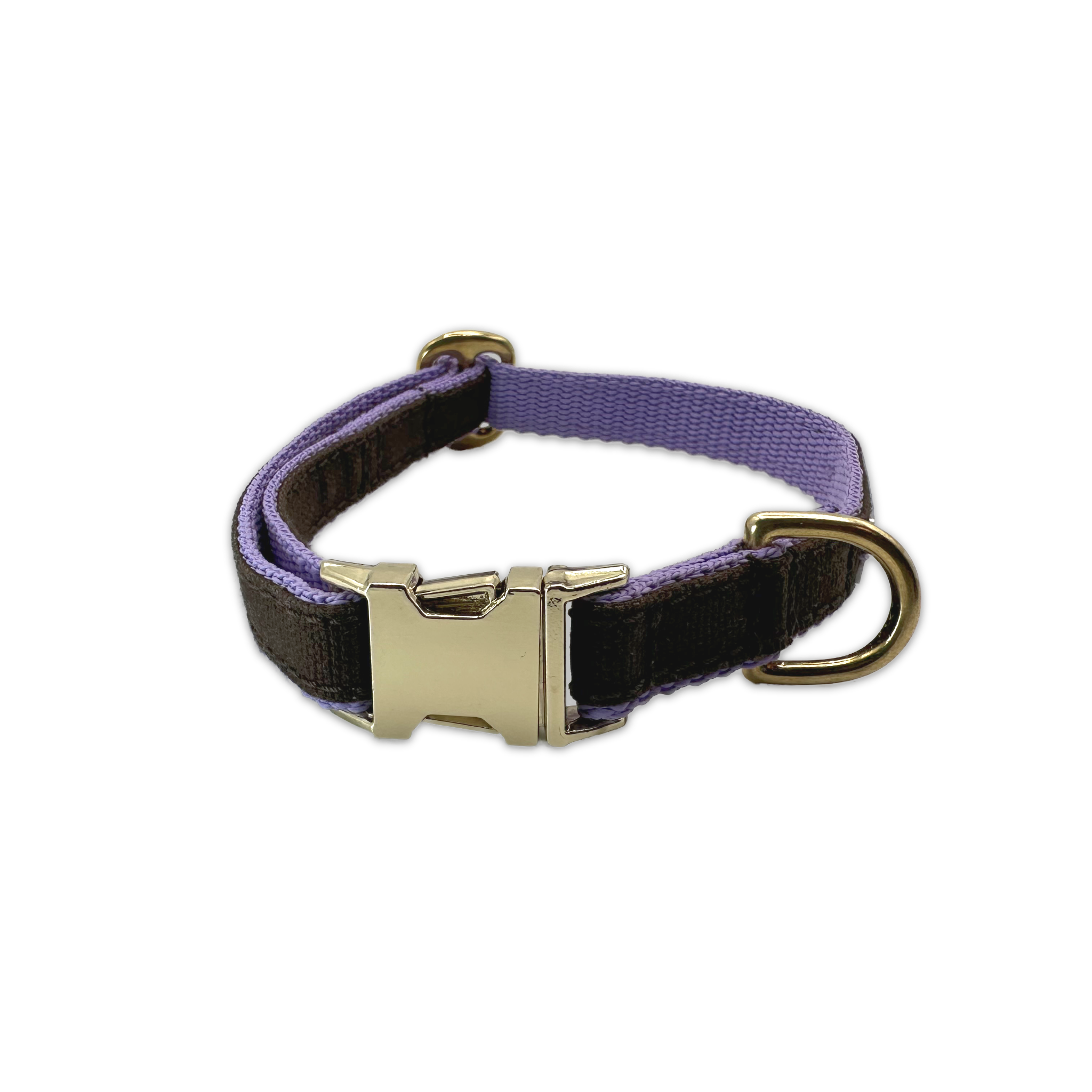 FINESTBOY-Halsband, 15mm, fliederfarbenes Gurtband mit dunkelbraunem Canvas-Streifen und Vollmessing-Applikationen und vermessingter Metallsteckschnalle, freigestellt, Frontansicht