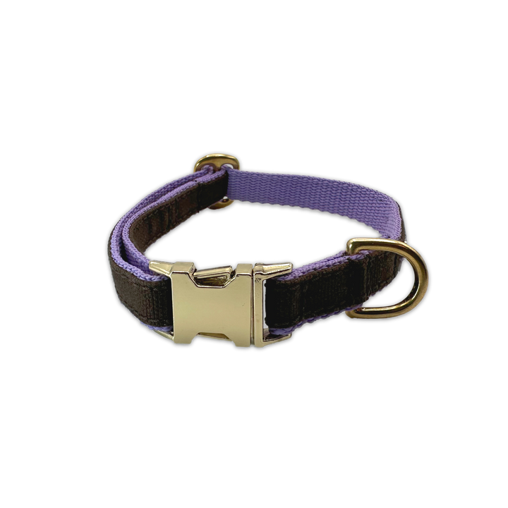FINESTBOY-Halsband, 15mm, fliederfarbenes Gurtband mit dunkelbraunem Canvas-Streifen und Vollmessing-Applikationen und vermessingter Metallsteckschnalle, freigestellt, Frontansicht