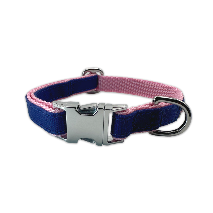 FINESTBOY-Halsband, 15mm, rosafarbenes Gurtband mit royalblauem Canvas-Streifen und verchromten Vollmessing-Applikationen und verchromter Metallsteckschnalle, gelegt, Frontansicht