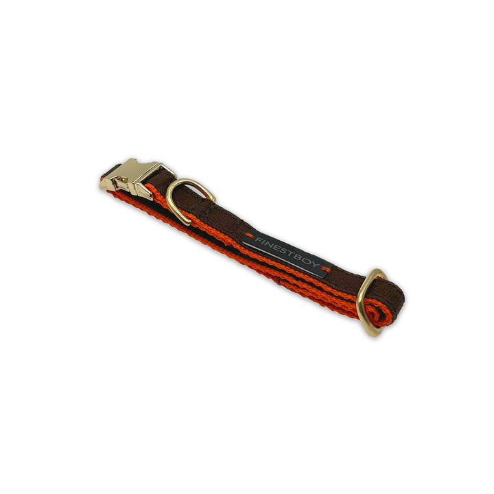 FINESTBOY-Halsband, 15mm, orangenes Gurtband mit dunkelbraunem Canvas-Streifen und Vollmessing-Applikationen und vermessingter Metallsteckschnalle, gelegt, diagonal drapiert