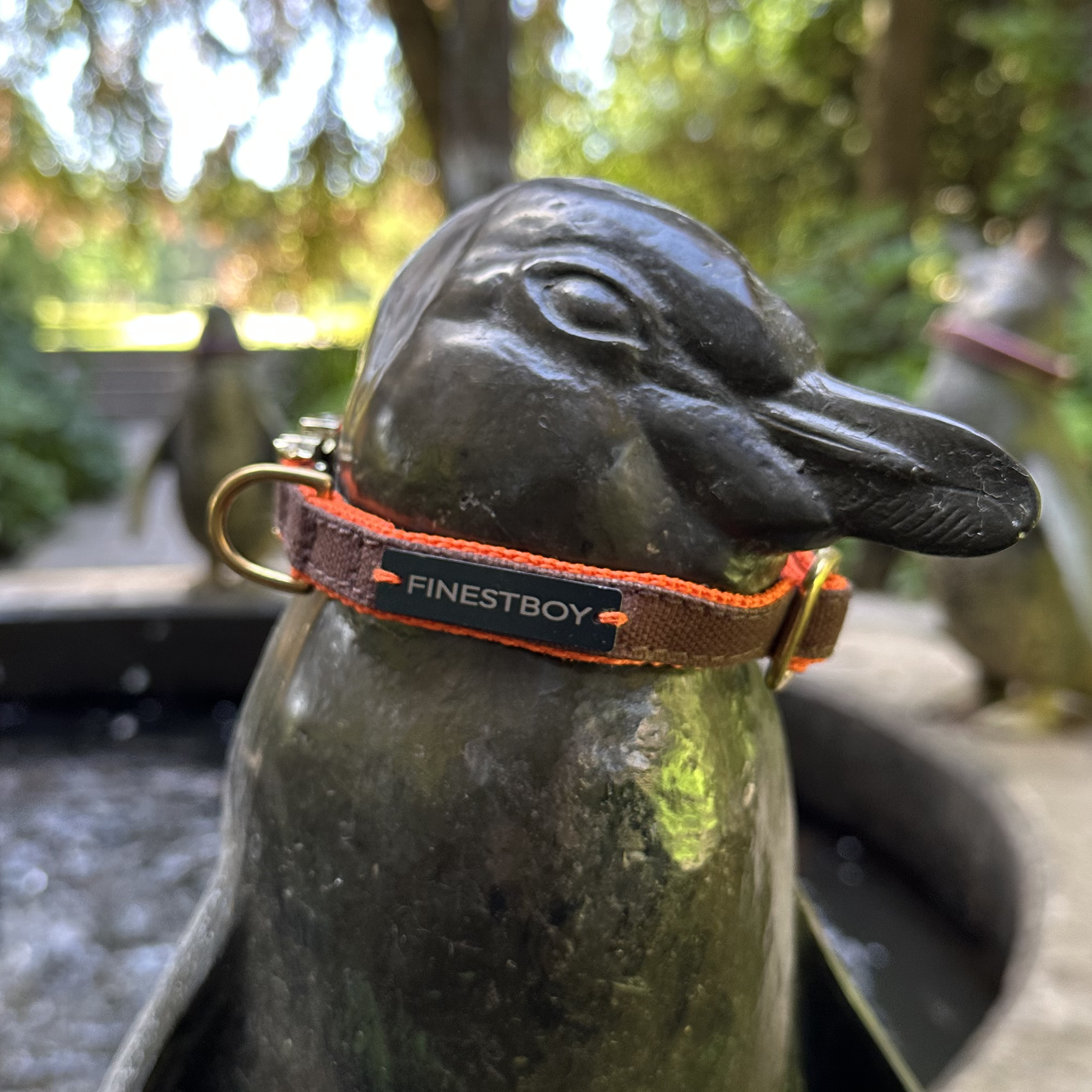 Pinguin trägt FINESTBOY-Halsband, 15mm, orangenes Gurtband mit dunkelbraunem Canvas-Streifen und Vollmessing-Applikationen und vermessingter Metallsteckschnalle, im Hamburger Stadtpark an einer Pinguin-Skulptur