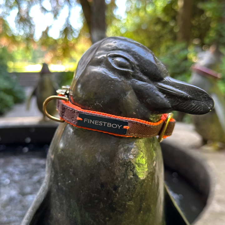 Pinguin trägt FINESTBOY-Halsband, 15mm, orangenes Gurtband mit dunkelbraunem Canvas-Streifen und Vollmessing-Applikationen und vermessingter Metallsteckschnalle, im Hamburger Stadtpark an einer Pinguin-Skulptur