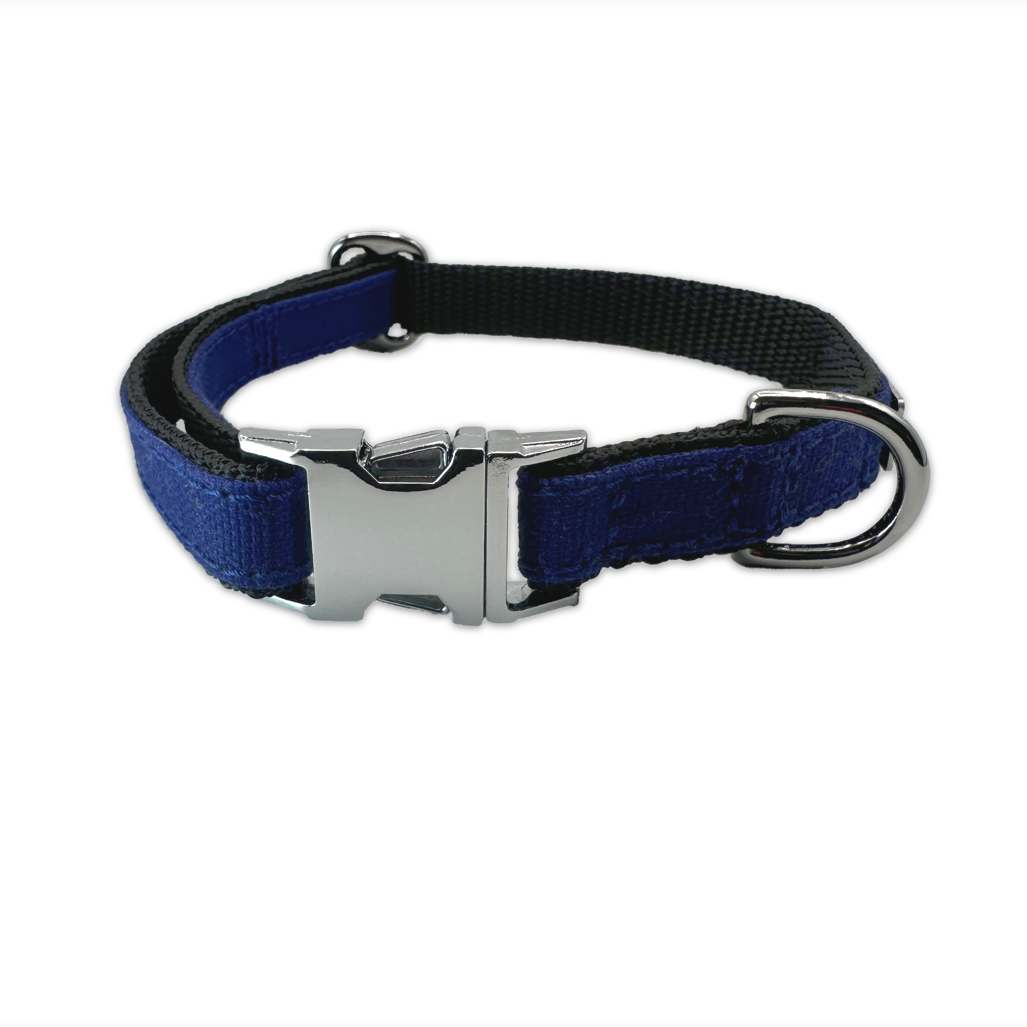 FINESTBOY-Halsband, 15mm, schwarzes Gurtband mit royalblauem Canvas-Streifen und verchromten Vollmessing-Applikationen und verchromter Metallsteckschnalle, freigestellt, gelegt