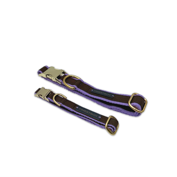 Zwei FINESTBOY-Halsbänder, 15mm und 25mm, fliederfarbenes Gurtband mit dunkelbraunem Canvas-Streifen und Vollmessing-Applikationen und vermessingter Metallsteckschnalle, gelegt, diagonal drapiert