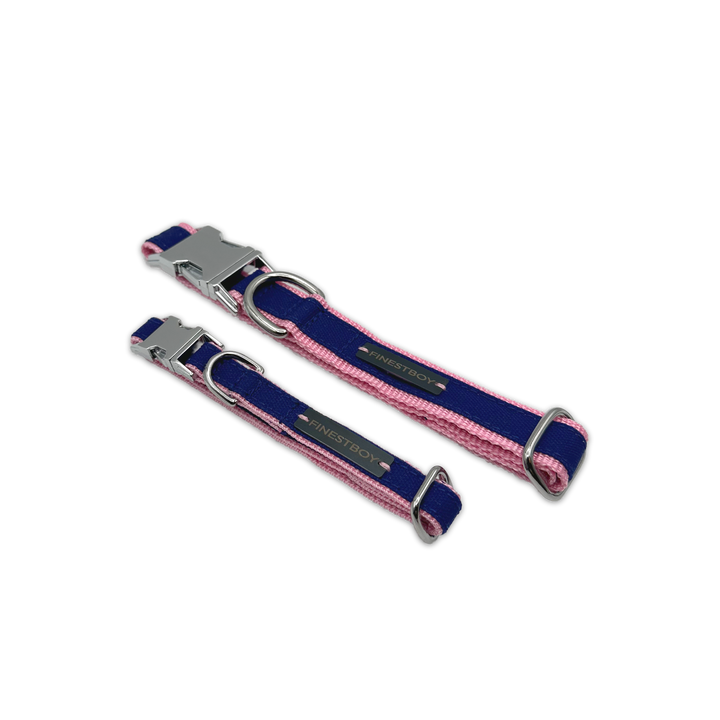 Zwei FINESTBOY-Halsbänder, 15mm und 25mm, rosafarbenes Gurtband mit royalblauem Canvas-Streifen und verchromten Vollmessing-Applikationen und verchromter Metallsteckschnalle, gelegt, diagonal drapiert