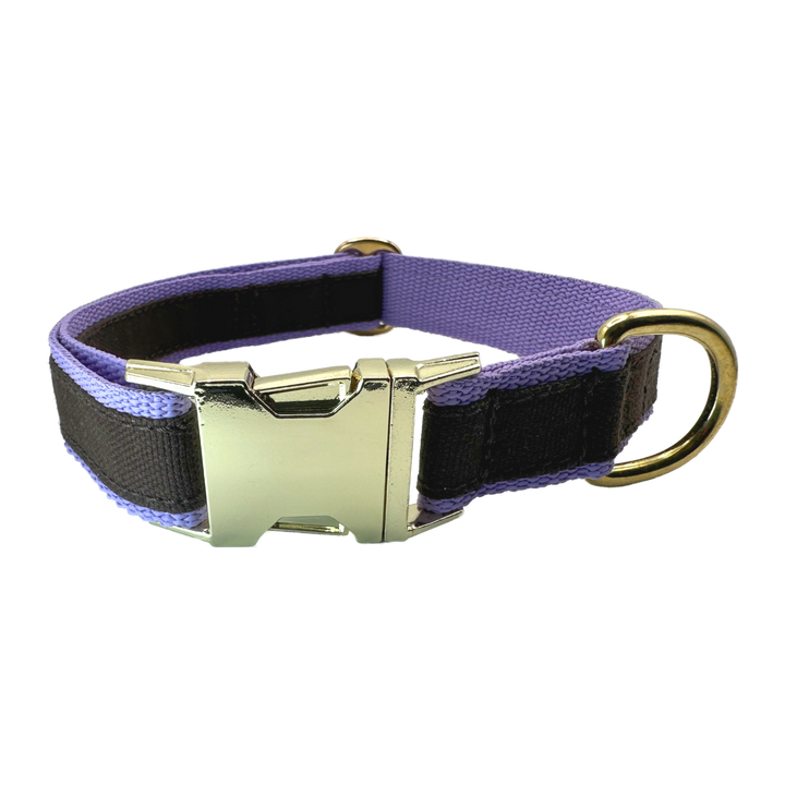 FINESTBOY-Halsband, 25mm, fliederfarbenes Gurtband mit dunkelbraunem Canvas-Streifen und Vollmessing-Applikationen und vermessingter Metallsteckschnalle, gelegt, Frontansicht