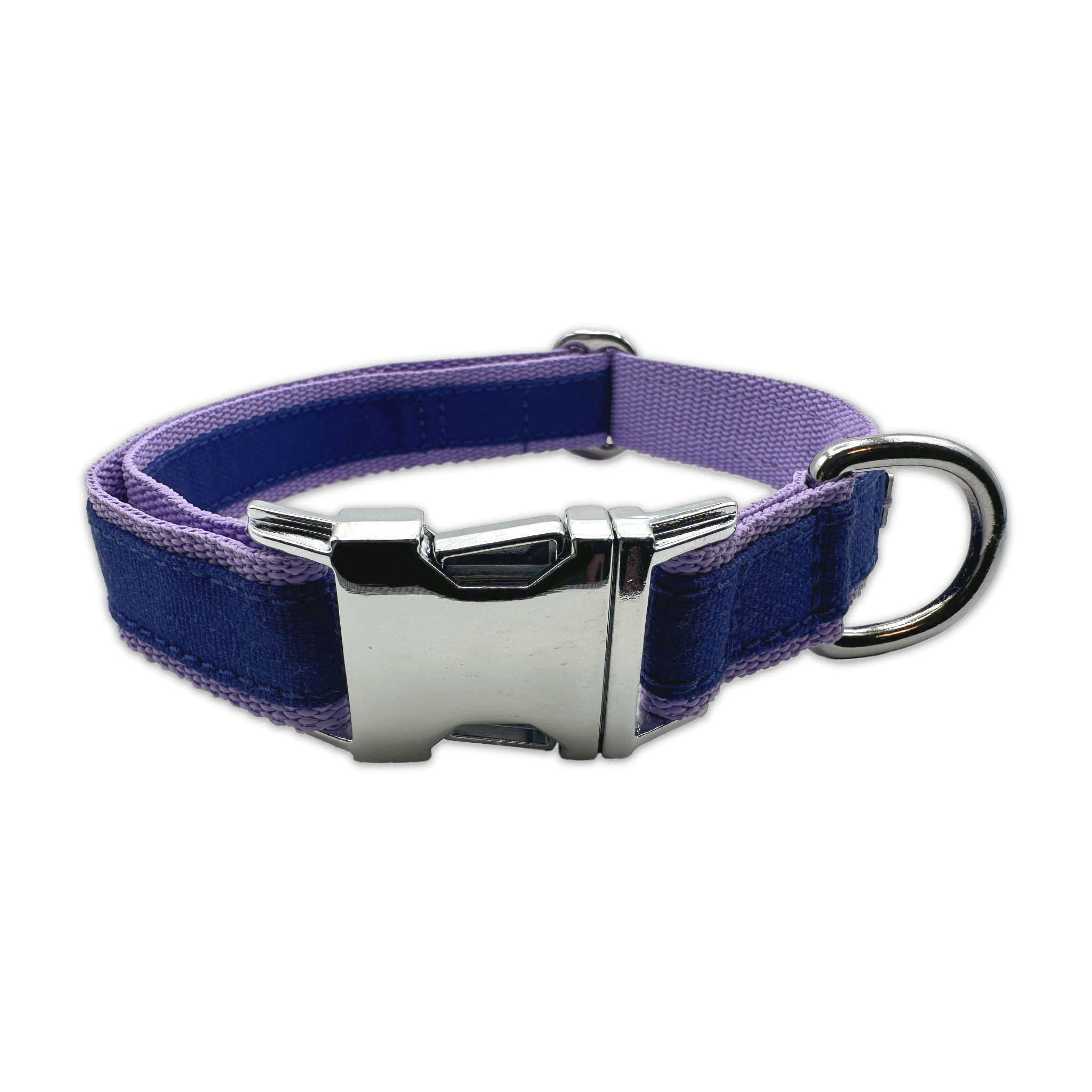 FINESTBOY-Halsband, 25mm, fliederfarbenes Gurtband mit royalblauem Canvas-Streifen und verchromten Vollmessing-Applikationen und verchromter Metallsteckschnalle, gelegt, Frontansicht