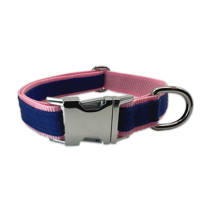 FINESTBOY-Halsband, 25mm, rosafarbenes Gurtband mit royalblauem Canvas-Streifen und verchromten Vollmessing-Applikationen und verchromter Metallsteckschnalle, gelegt, Frontansicht