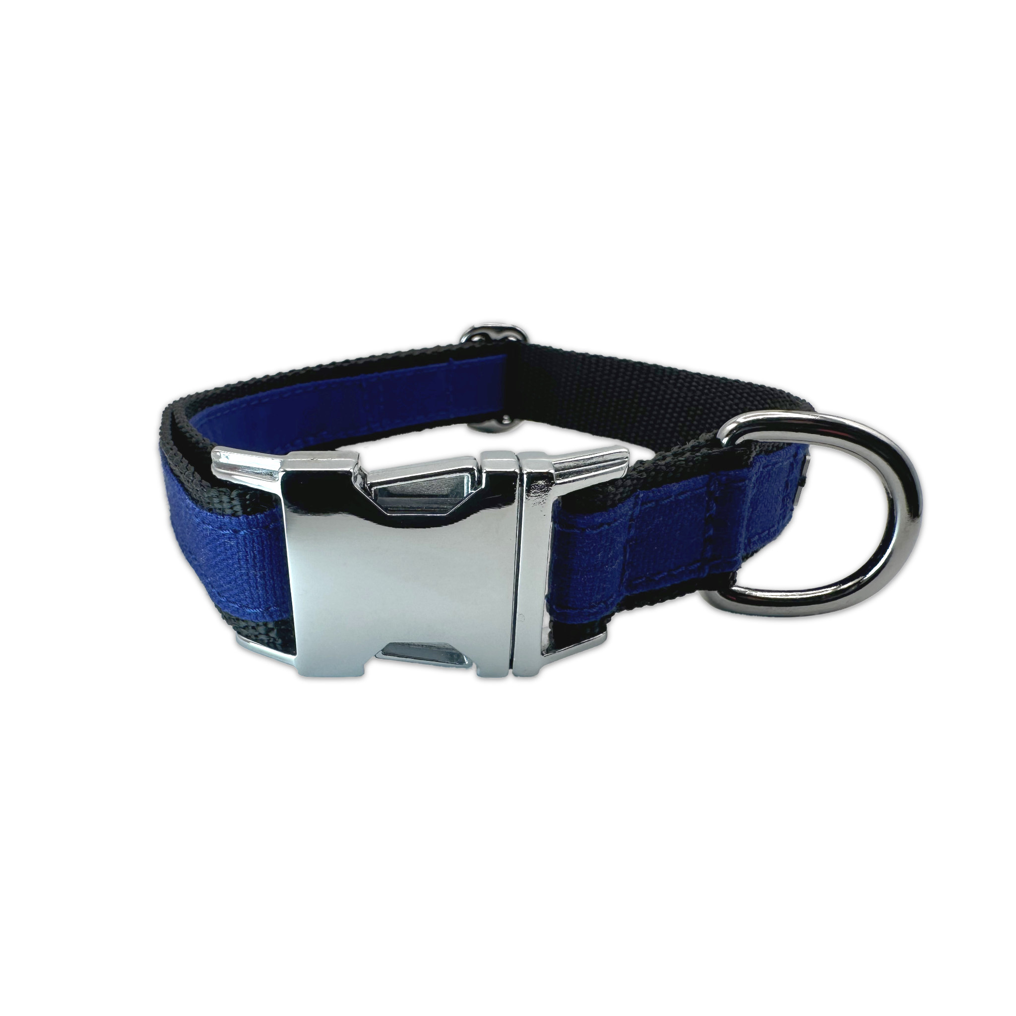 FINESTBOY-Halsband, 25mm, schwarzes Gurtband mit royalblauem Canvas-Streifen und verchromten Vollmessing-Applikationen und verchromter Metallsteckschnalle, gelegt, Frontansicht