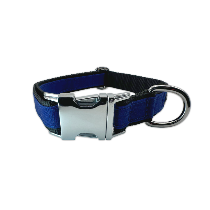 FINESTBOY-Halsband, 25mm, schwarzes Gurtband mit royalblauem Canvas-Streifen und verchromten Vollmessing-Applikationen und verchromter Metallsteckschnalle, gelegt, Frontansicht