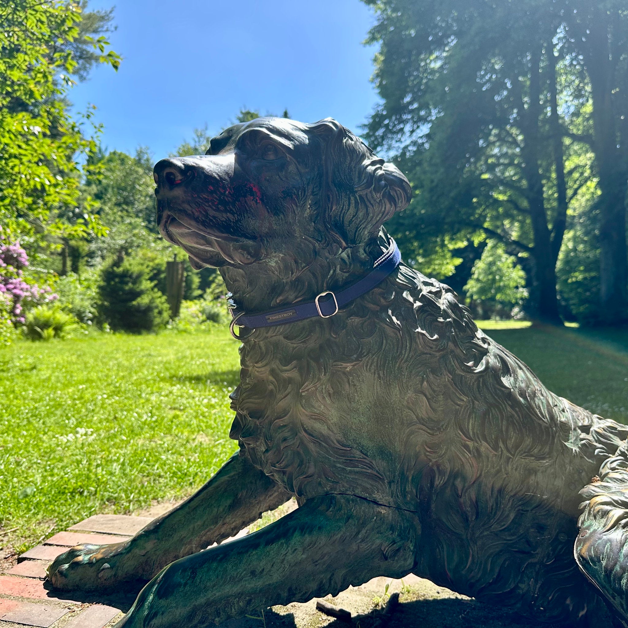 Hund trägt FINESTBOY-Halsband, 25mm, schwarzes Gurtband mit royalblauem Canvas-Streifen und verchromten Vollmessing-Applikationen und verchromter Metallsteckschnalle, Frontalaufnahme im Hamburger Stadtpark an einer Hundeskulptur