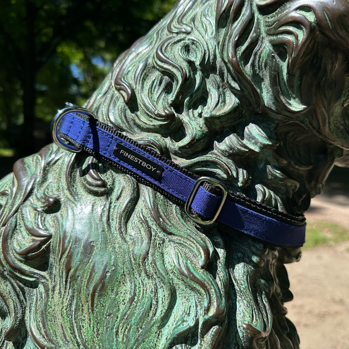Hund trägt FINESTBOY-Halsband, 25mm, schwarzes Gurtband mit royalblauem Canvas-Streifen und verchromten Vollmessing-Applikationen und verchromter Metallsteckschnalle, im Hamburger Stadtpark an einer Hundeskulptur