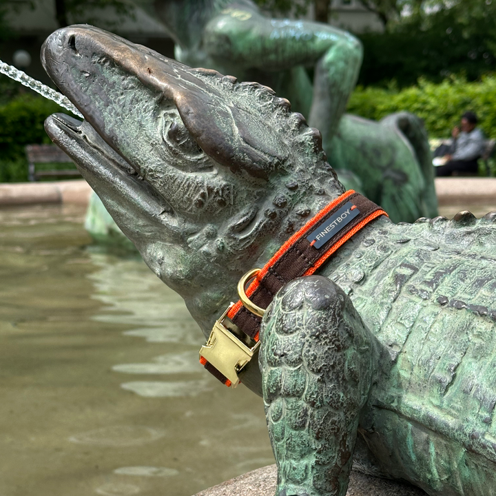 Echse trägt FINESTBOY-Halsband, 25mm, orangenes Gurtband mit dunkelbraunem Canvas-Streifen und Vollmessing-Applikationen und vermessingter Metallsteckschnalle, in Hamburg Altona an einer Echsen-Skulptur am Wasser