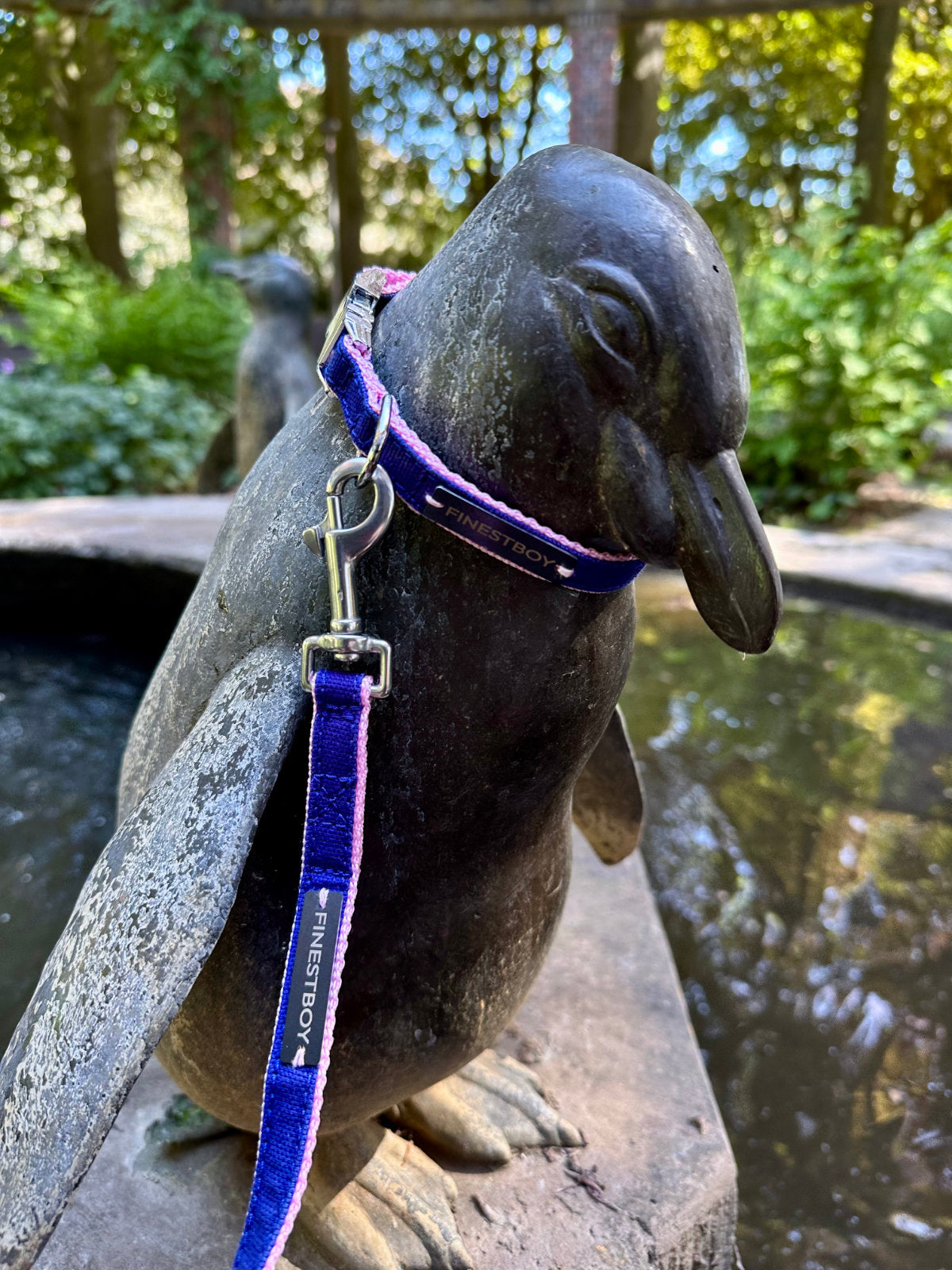 Pinguin trägt FINESTBOY-Bundle aus Halsband und Leine, 15mm, rosafarbenes Gurtband mit royalblauem Canvas-Streifen und verchromten Vollmessing-Applikationen, verchromter Metallsteckschnalle und Edelstahl-Karabiner, im Hamburger Stadtpark an einer Pinguin-Skulptur