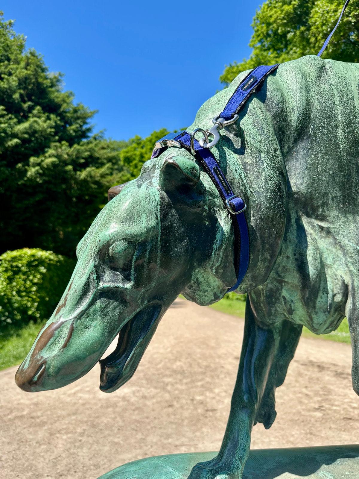 Hund trägt FINESTBOY-Bundle aus Halsband und Leine, 25mm, schwarzes Gurtband mit royalblauem Canvas-Streifen und verchromten Vollmessing-Applikationen, verchromter Metallsteckschnalle und Edelstahl-Karabiner, im Hamburger Stadtpark an einer Hundeskulptur
