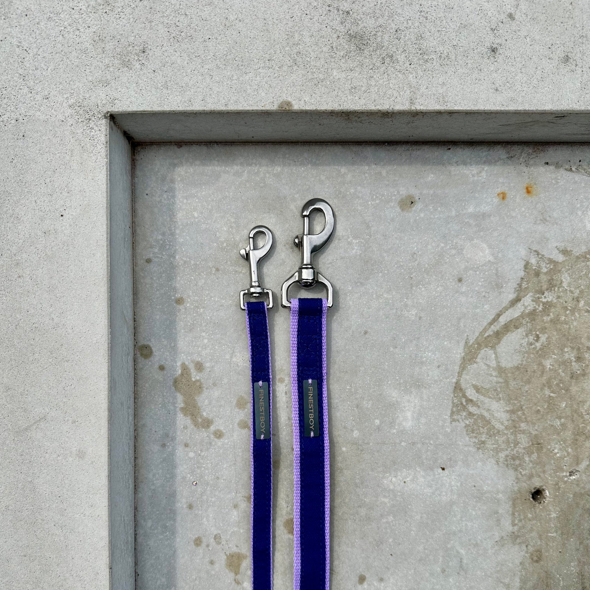 Zwei handgefertigte FINESTBOY-Hundeleinen, 15mm und 25mm, fliederfarbenes Gurtband mit royalblauem Canvas-Streifen und Edelstahl-Karabiner, liegend auf Beton