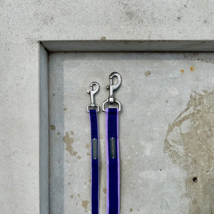 Zwei handgefertigte FINESTBOY-Hundeleinen, 15mm und 25mm, fliederfarbenes Gurtband mit royalblauem Canvas-Streifen und Edelstahl-Karabiner, liegend auf Beton