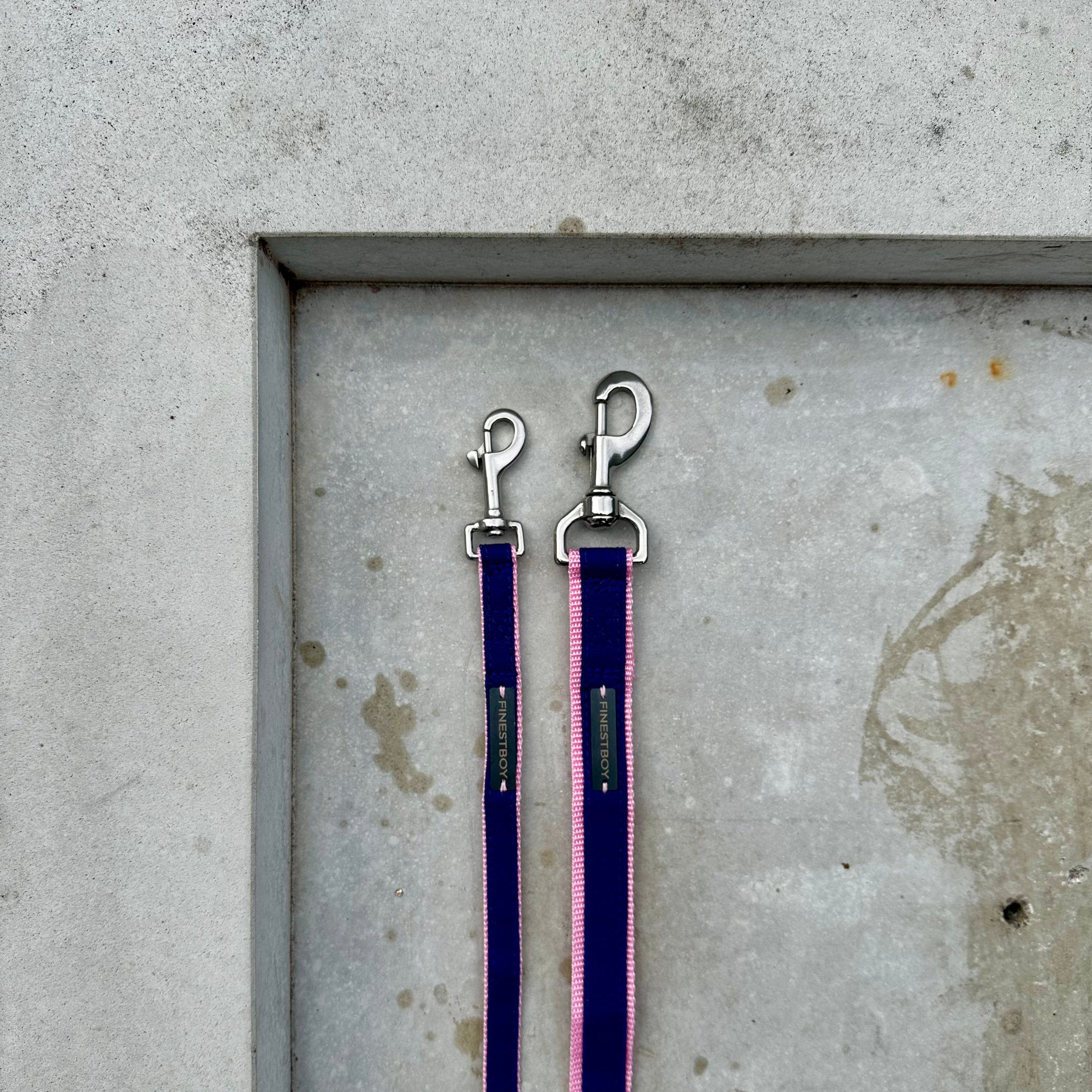 Zwei handgefertigte FINESTBOY-Hundeleinen, 15mm und 25mm, rosafarbenes Gurtband mit royalblauem Canvas-Streifen und Edelstahl-Karabiner, liegend auf Beton