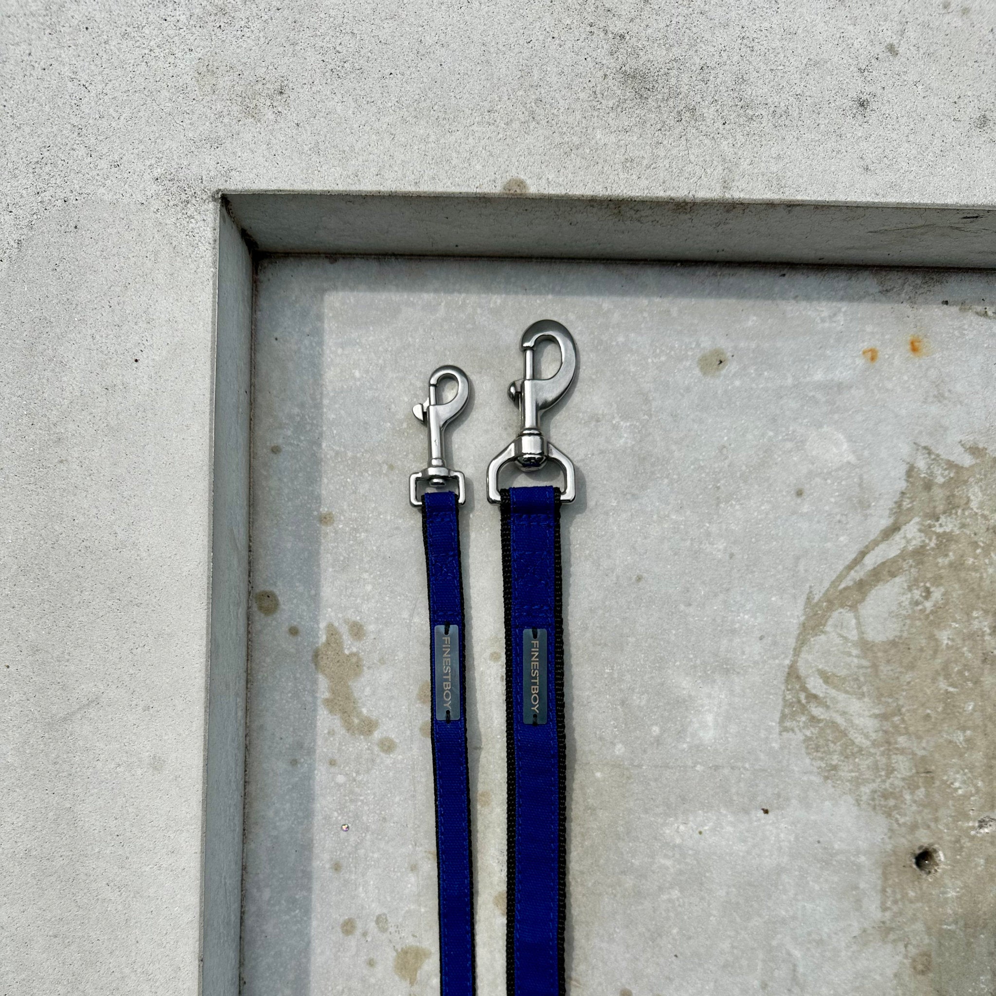 Zwei handgefertigte FINESTBOY-Hundeleinen, 15mm und 25mm, schwarzes Gurtband mit royalblauem Canvas-Streifen und Edelstahl-Karabiner, liegend auf Beton