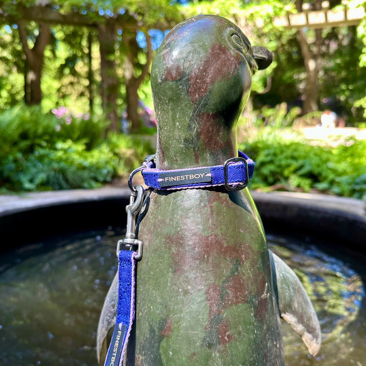 Pinguin trägt FINESTBOY-Bundle aus Halsband und Leine, 15mm, fliederfarbenes Gurtband mit royalblauem Canvas-Streifen und verchromten Vollmessing-Applikationen, verchromter Metallsteckschnalle und Edelstahl-Karabiner im Hamburger Stadtpark an einer Pinguin-Skulptur